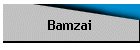 Bamzai
